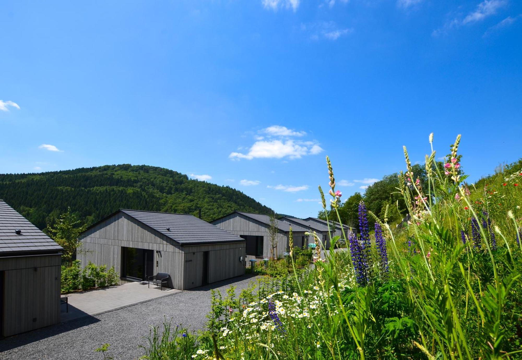 Sauerland Lodge - Haus Julius Winterberg Eksteriør bilde